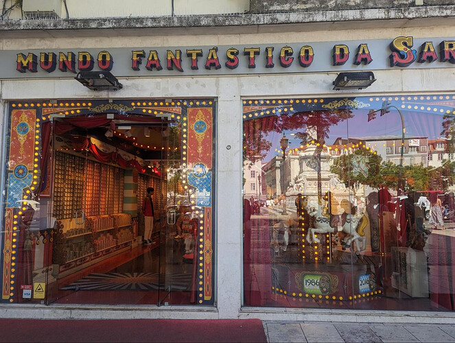The Fantastic World of Portuguese Sardines橱窗展示与旋转木马的照片