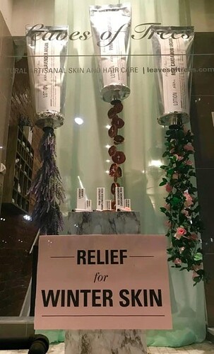 Leaves of Trees橱窗展示的照片